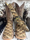 Arapaima cacao limatte premium