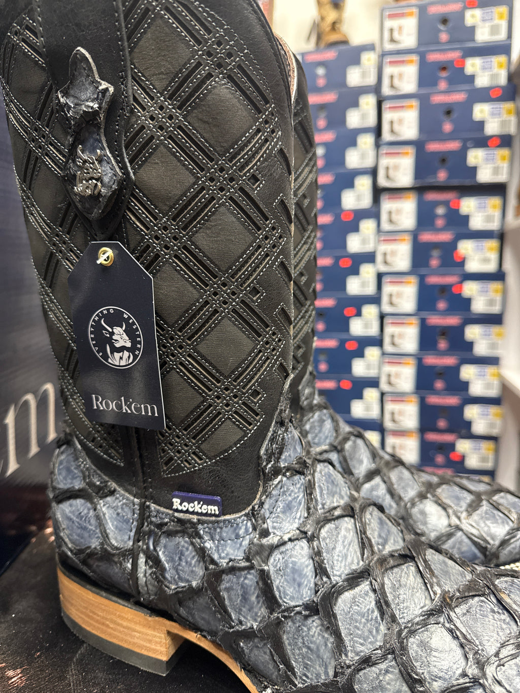 Bradley pirarucu navy