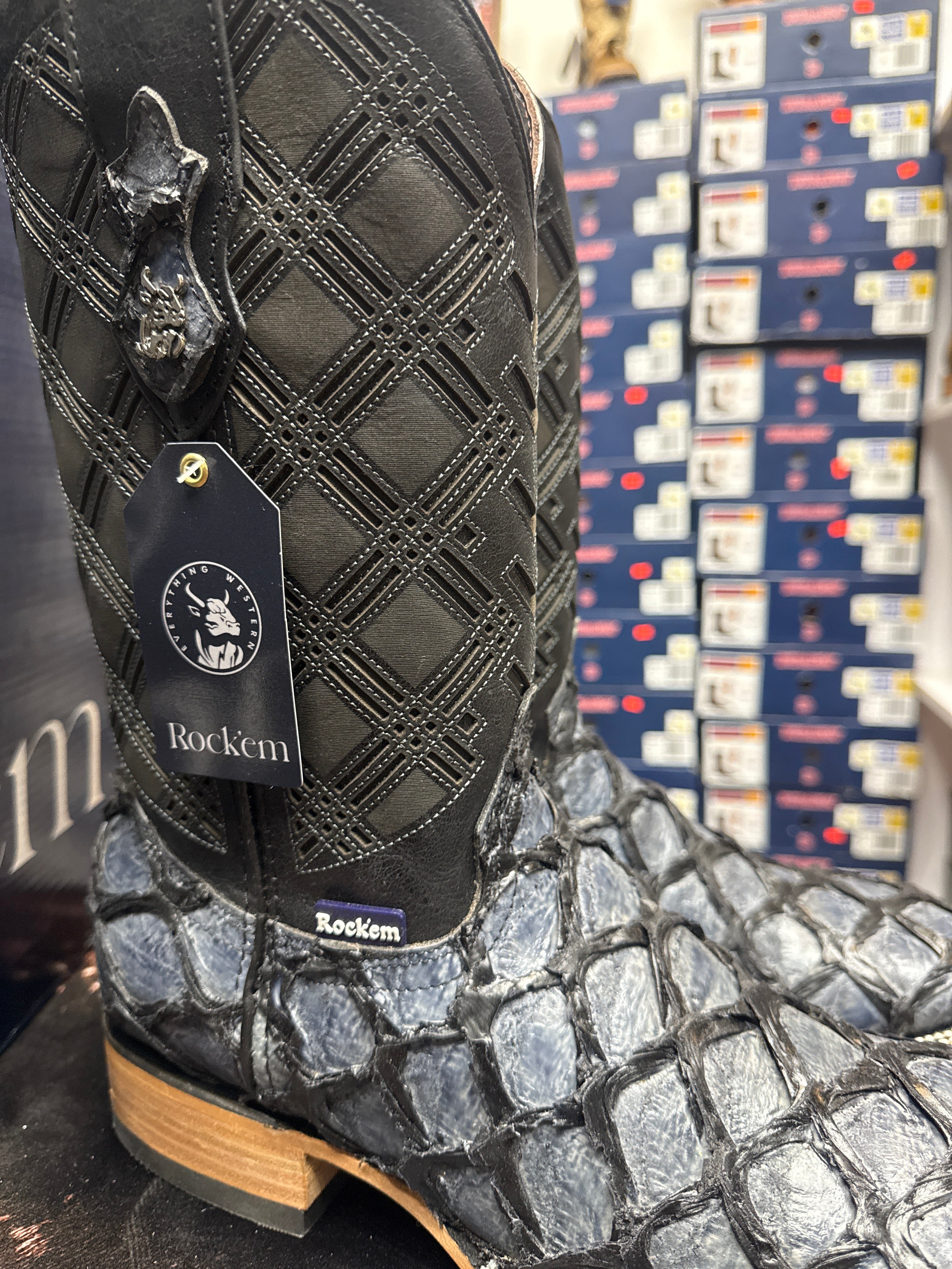 Bradley pirarucu navy