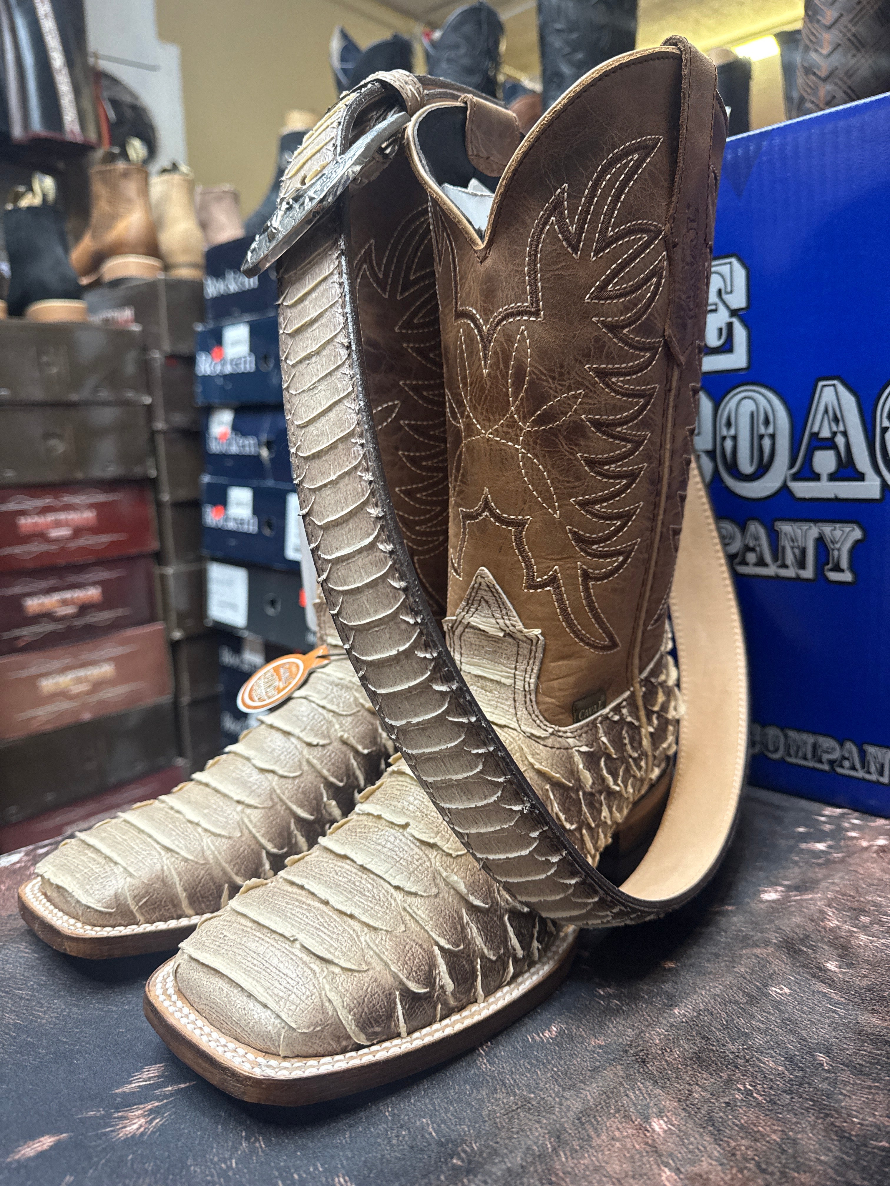 Caval Python boots