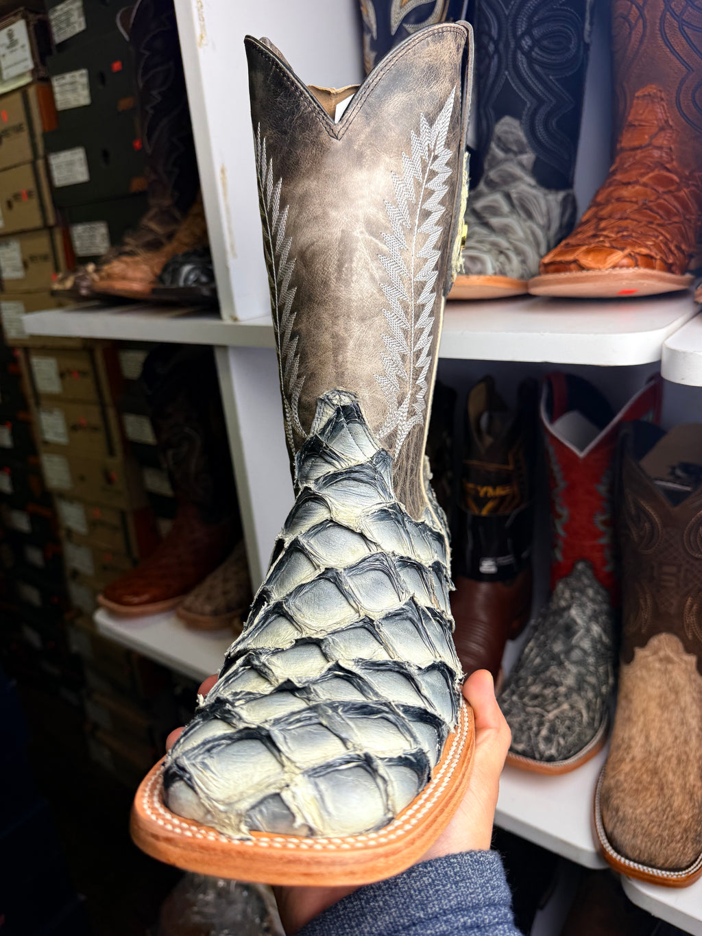 genuine fish peyote